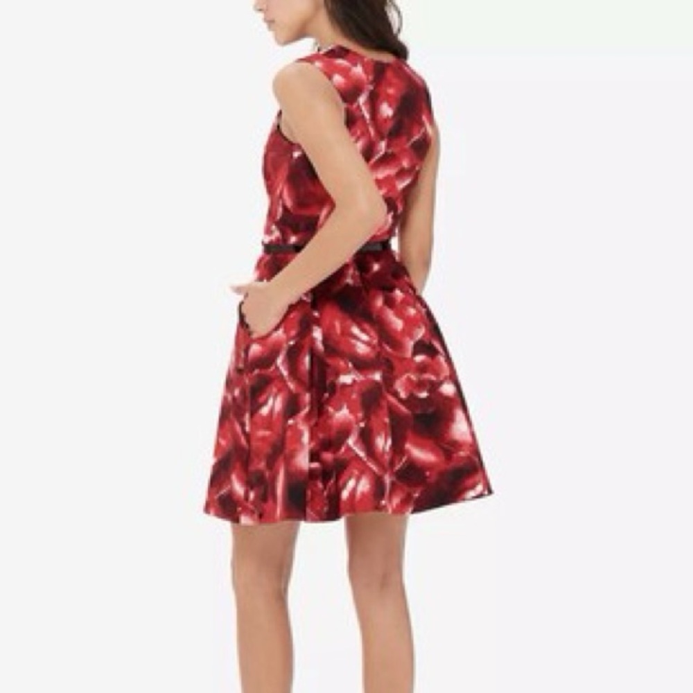 The Limited Eva Longoria Red and Black Patterned Sleeveless Fit and Flare Dress - Picture 3 of 17